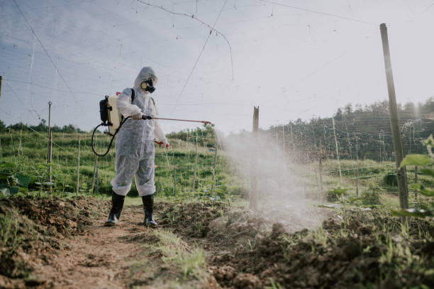 Best Affordable Pest Control Services  in Mabton, WA