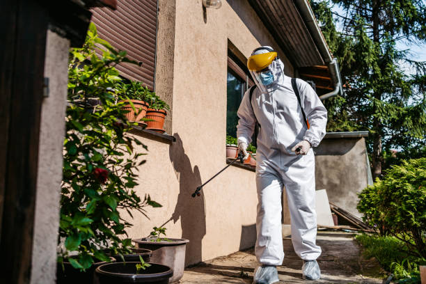 Best Bed Bug Extermination  in Mabton, WA