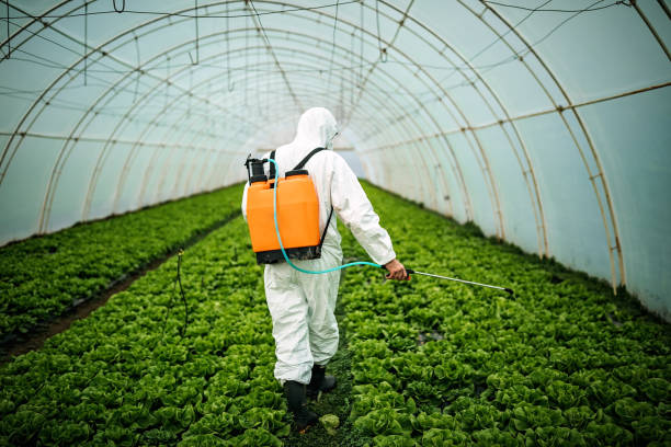 Best Exterminator Services  in Mabton, WA