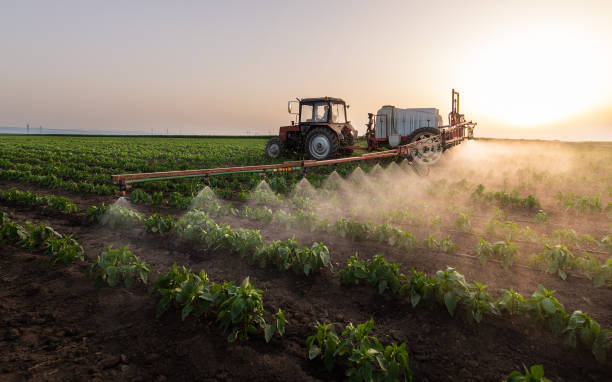 Best Mosquito Control Services  in Mabton, WA